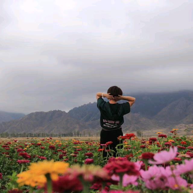 花花