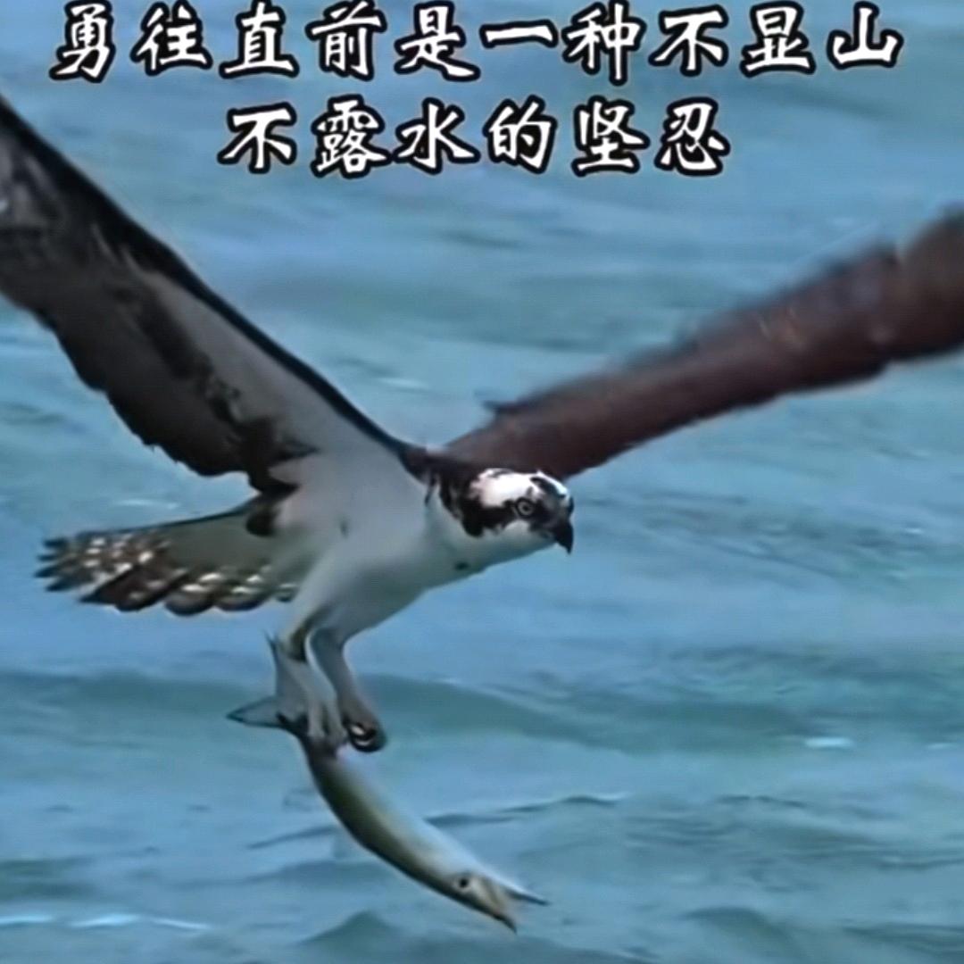 如是我