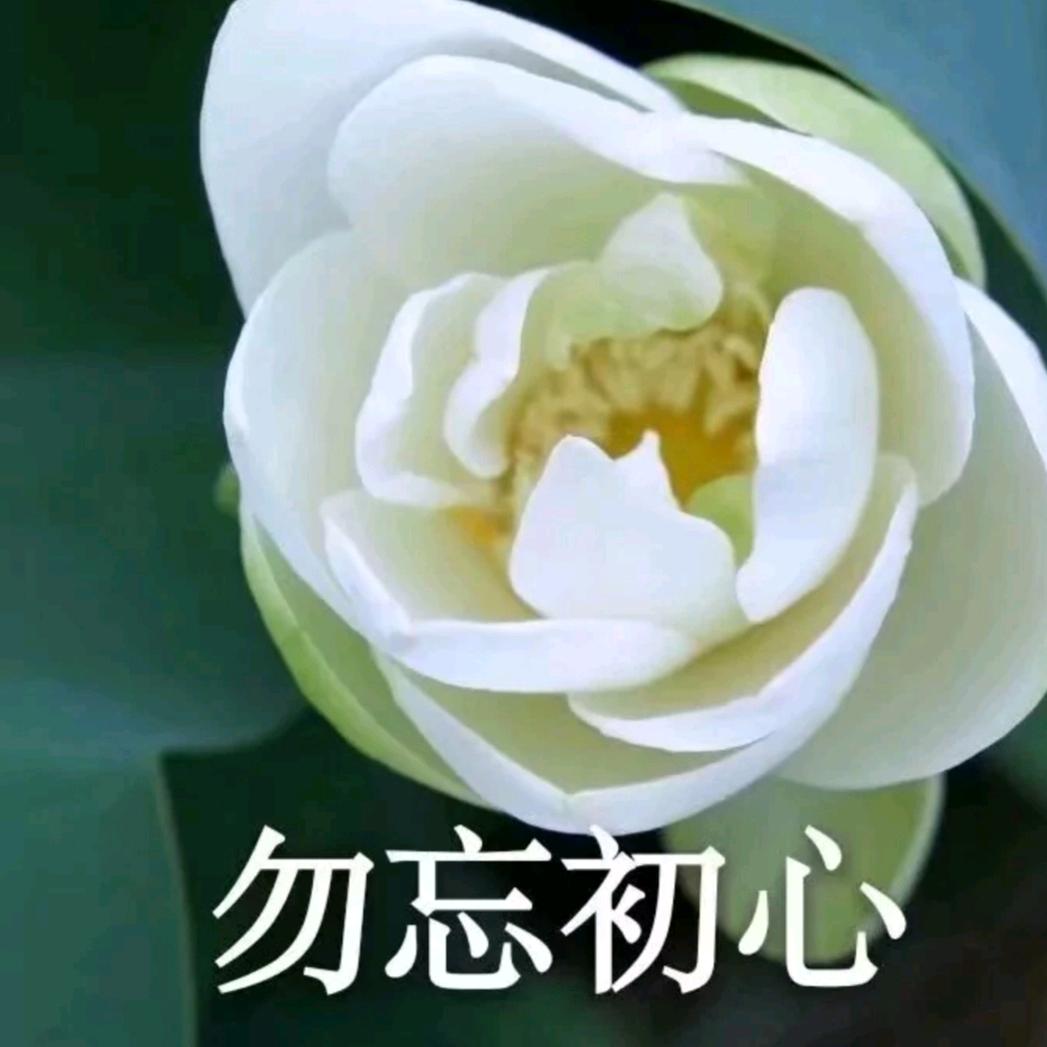 王仕林