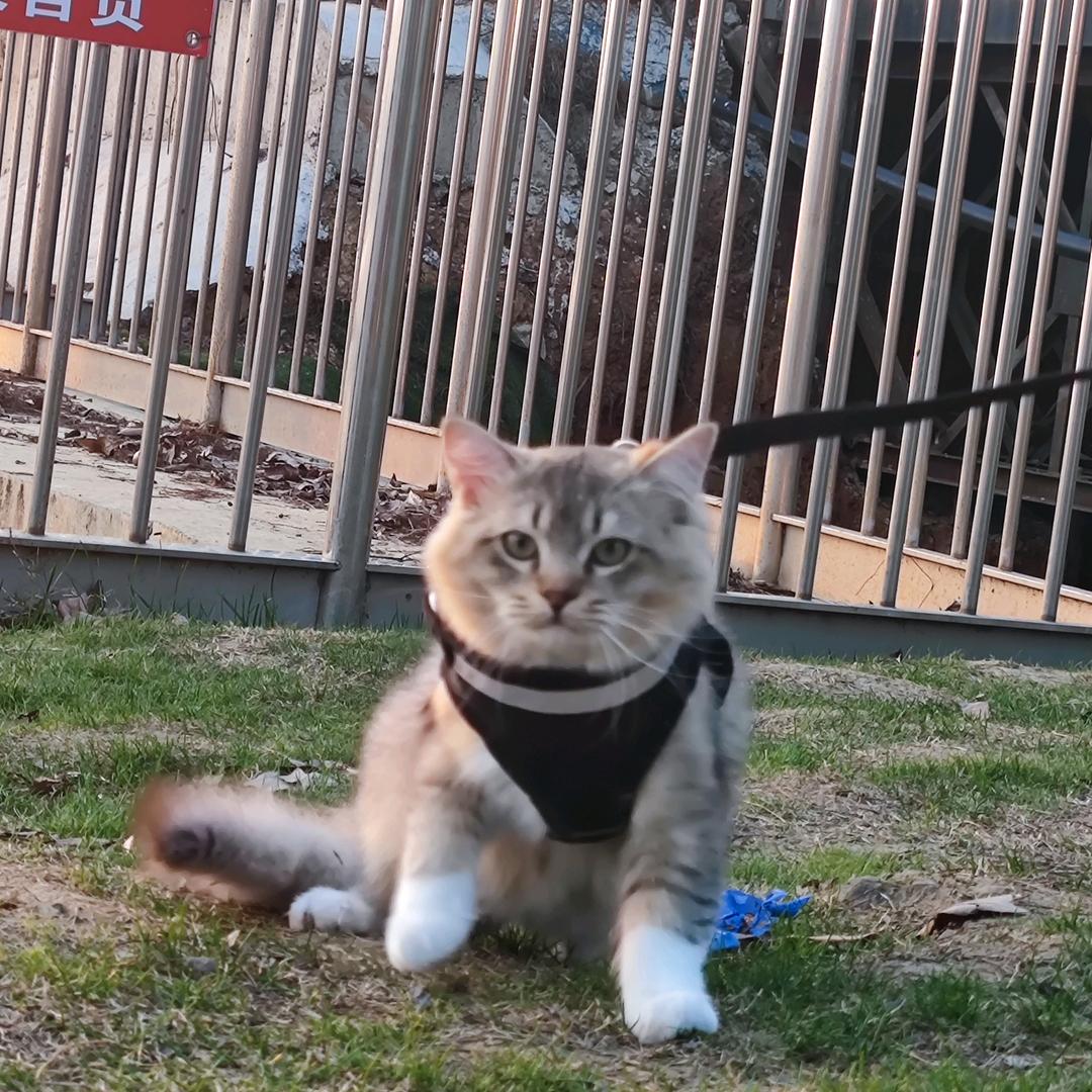 这个世界会好的