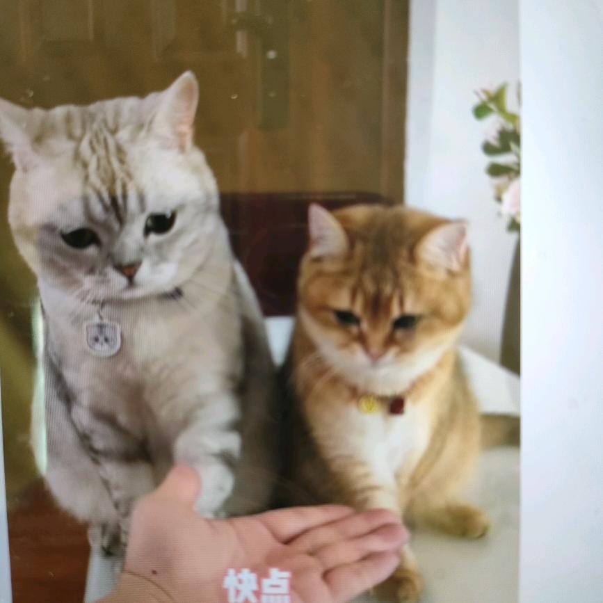 爱财爱己，风生水起