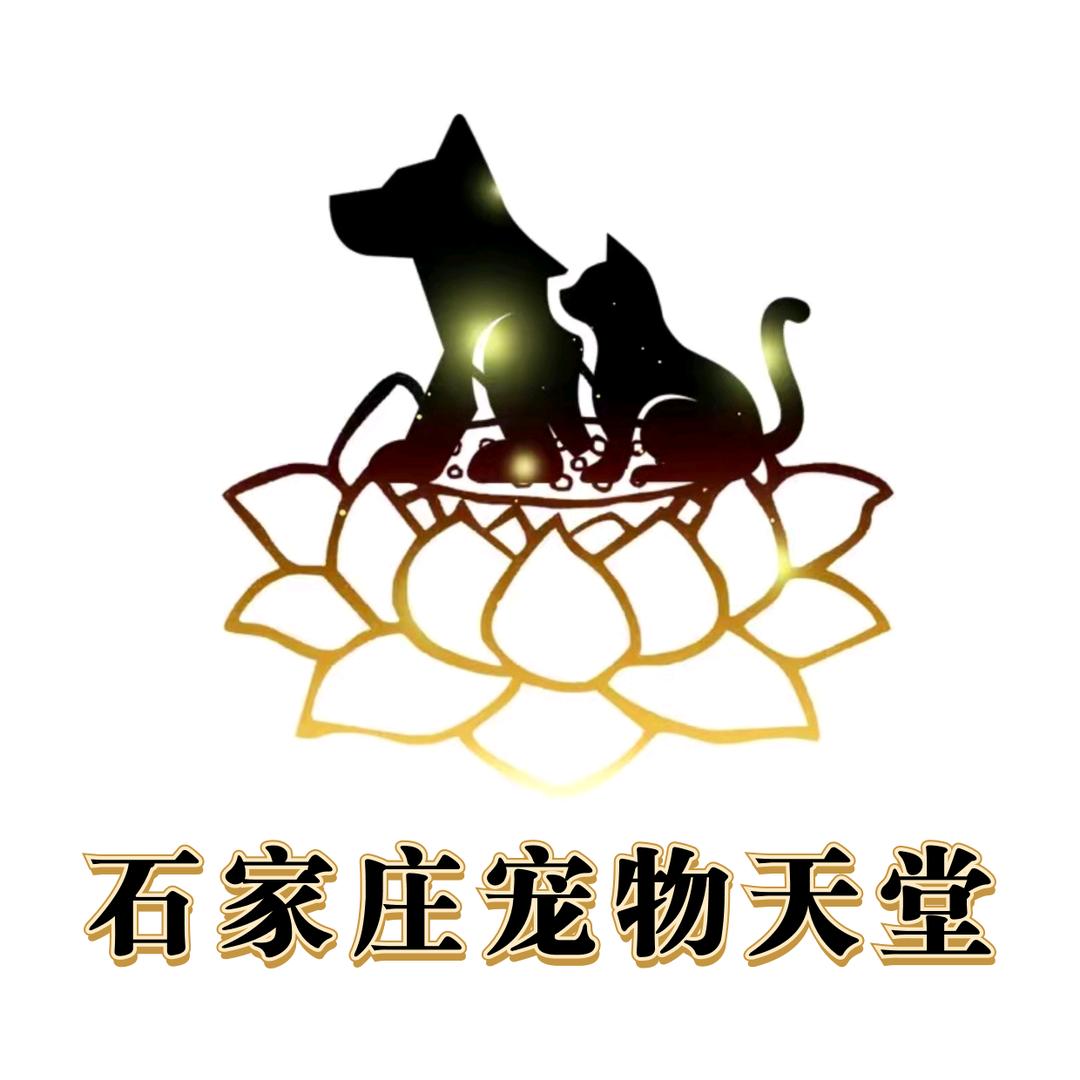 石家庄宠物天堂