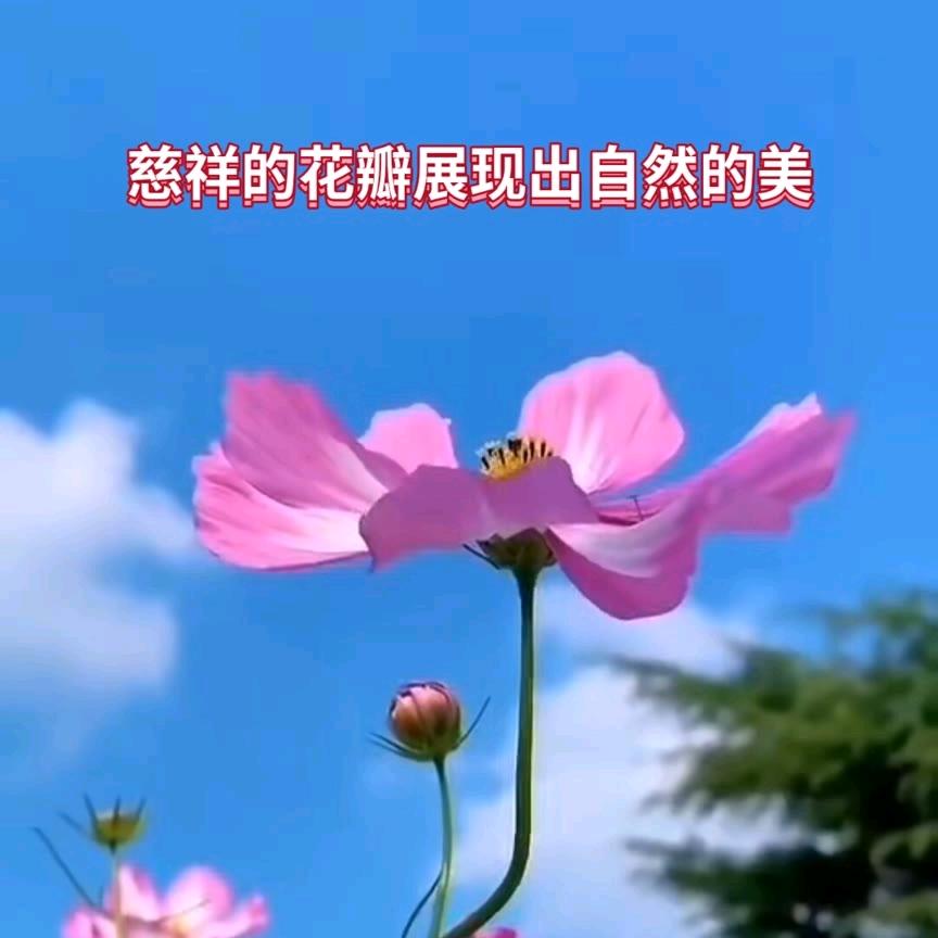 独行前方