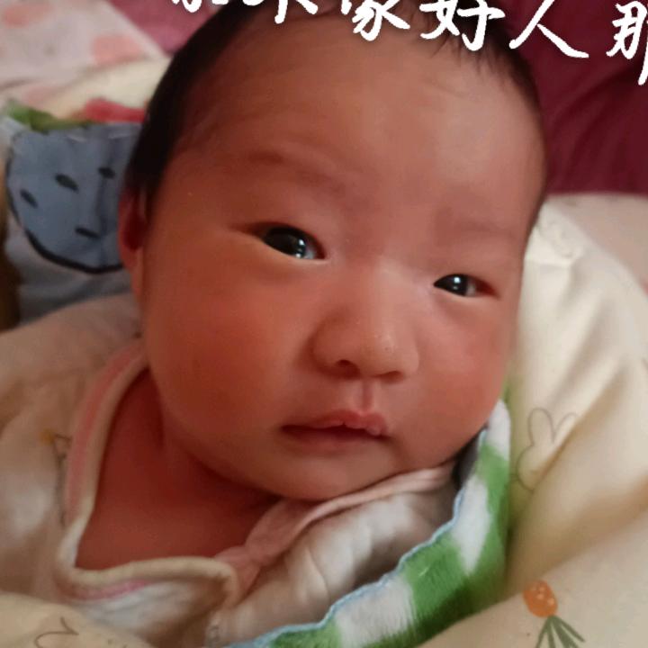 小肉包