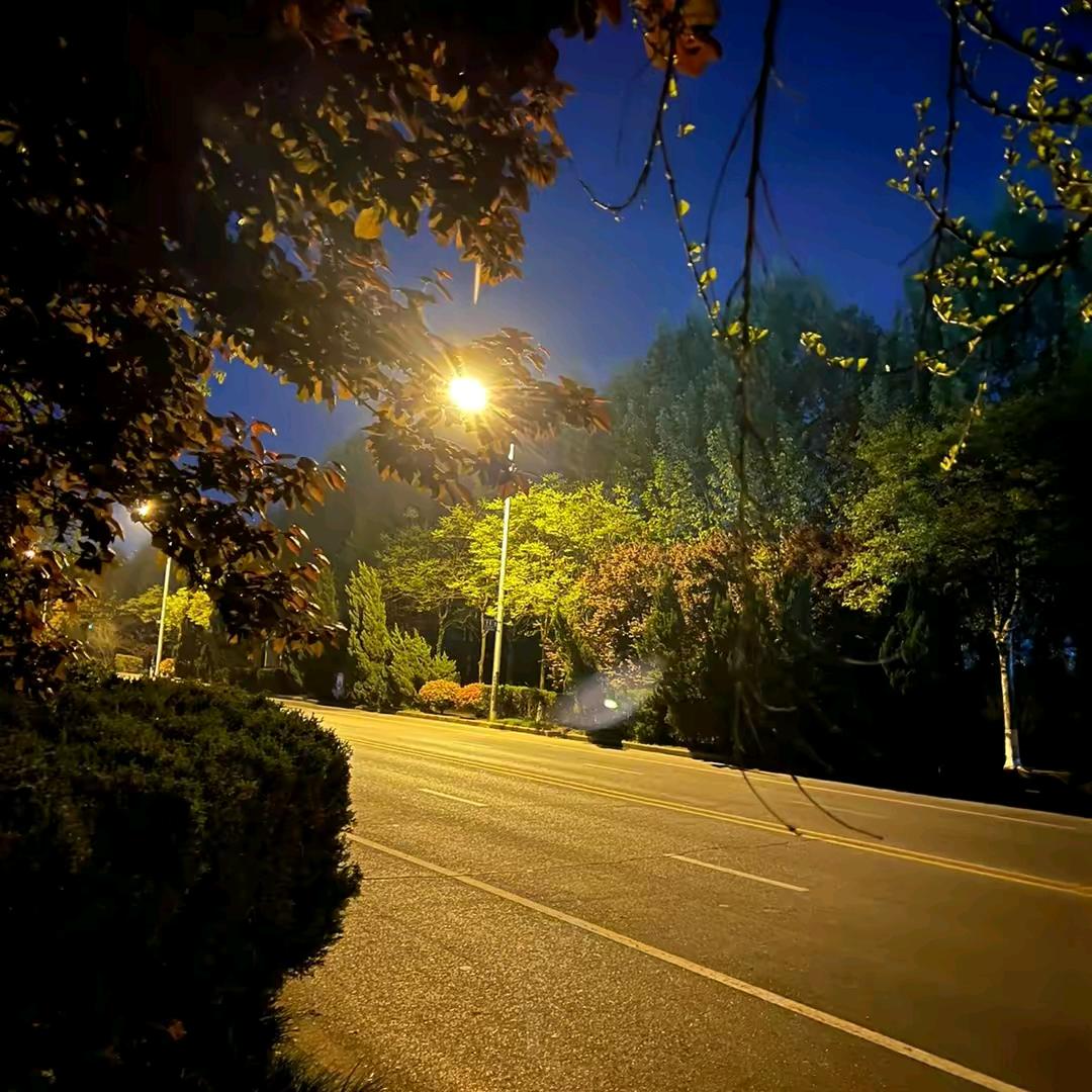 💞心静如水💞