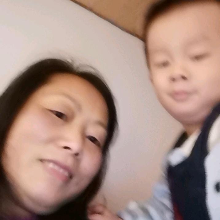 凤伟传启