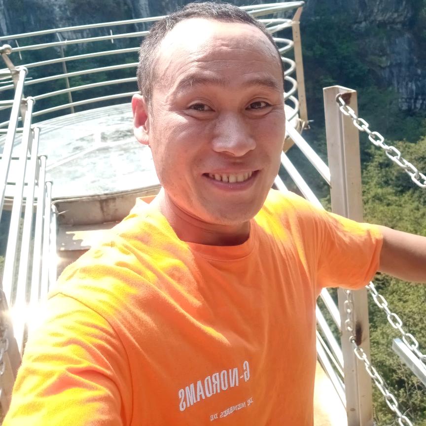 华山纯野生莓茶