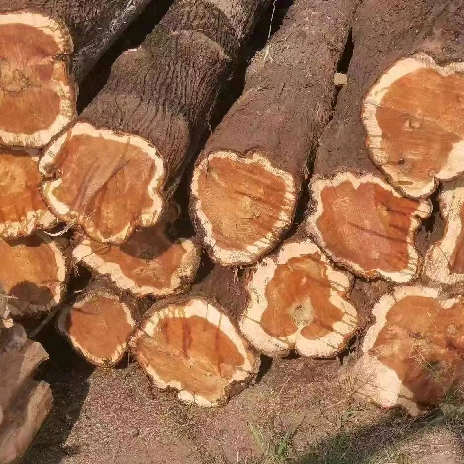 旬阳杨哥（旬阳木材加工）