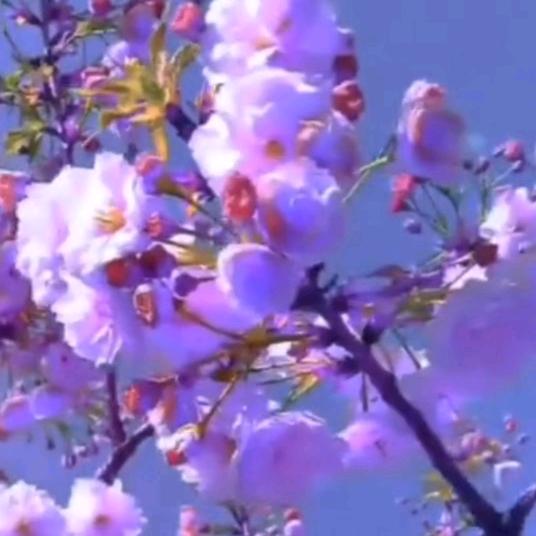 胡说