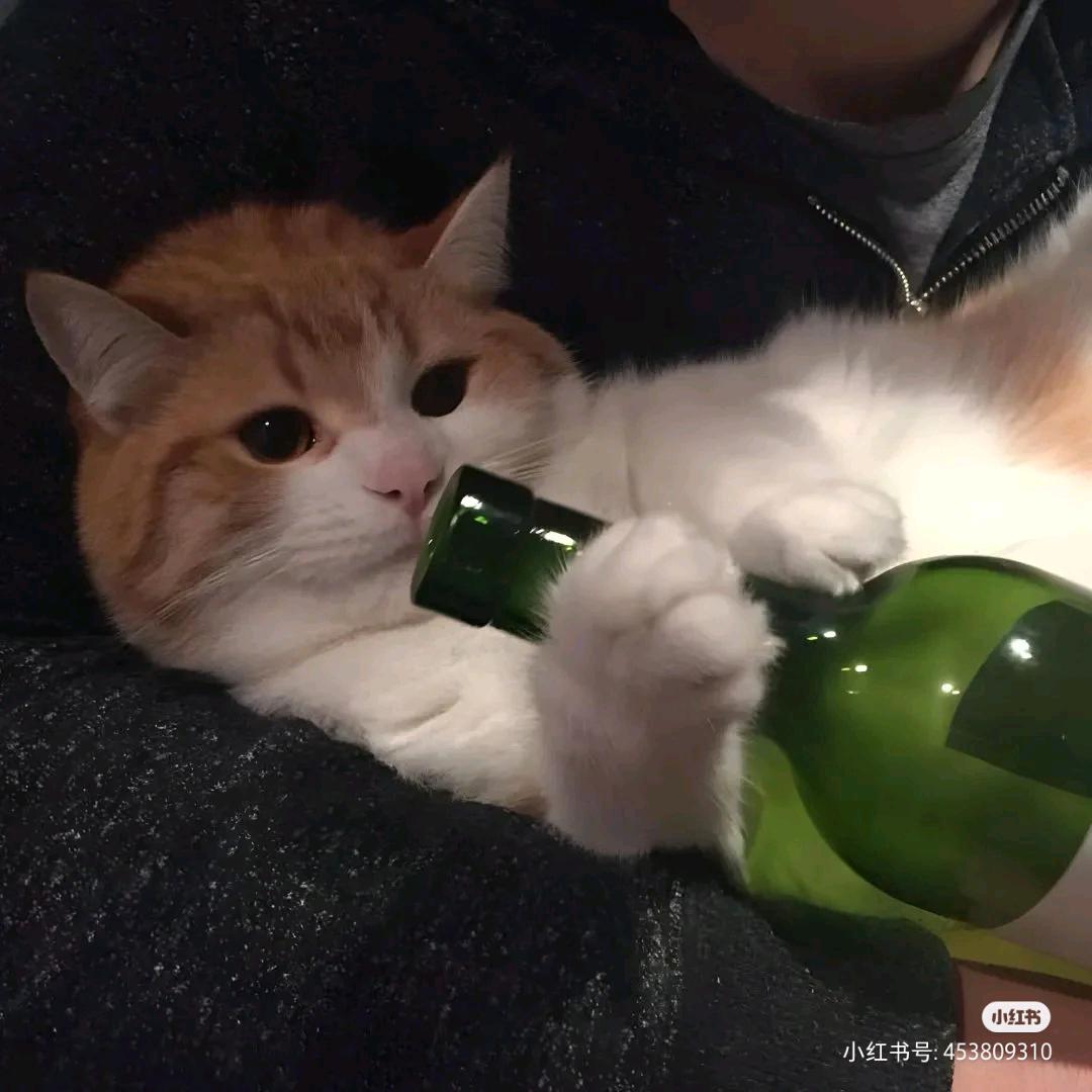 @虾饺烧卖