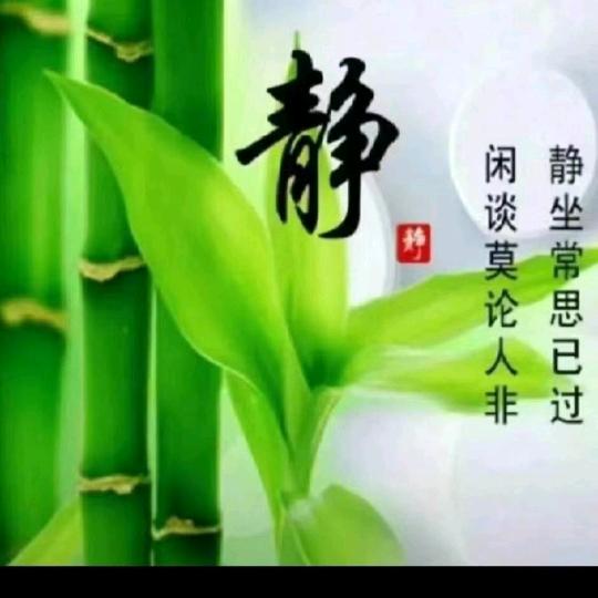 跟着感觉走让快乐随行