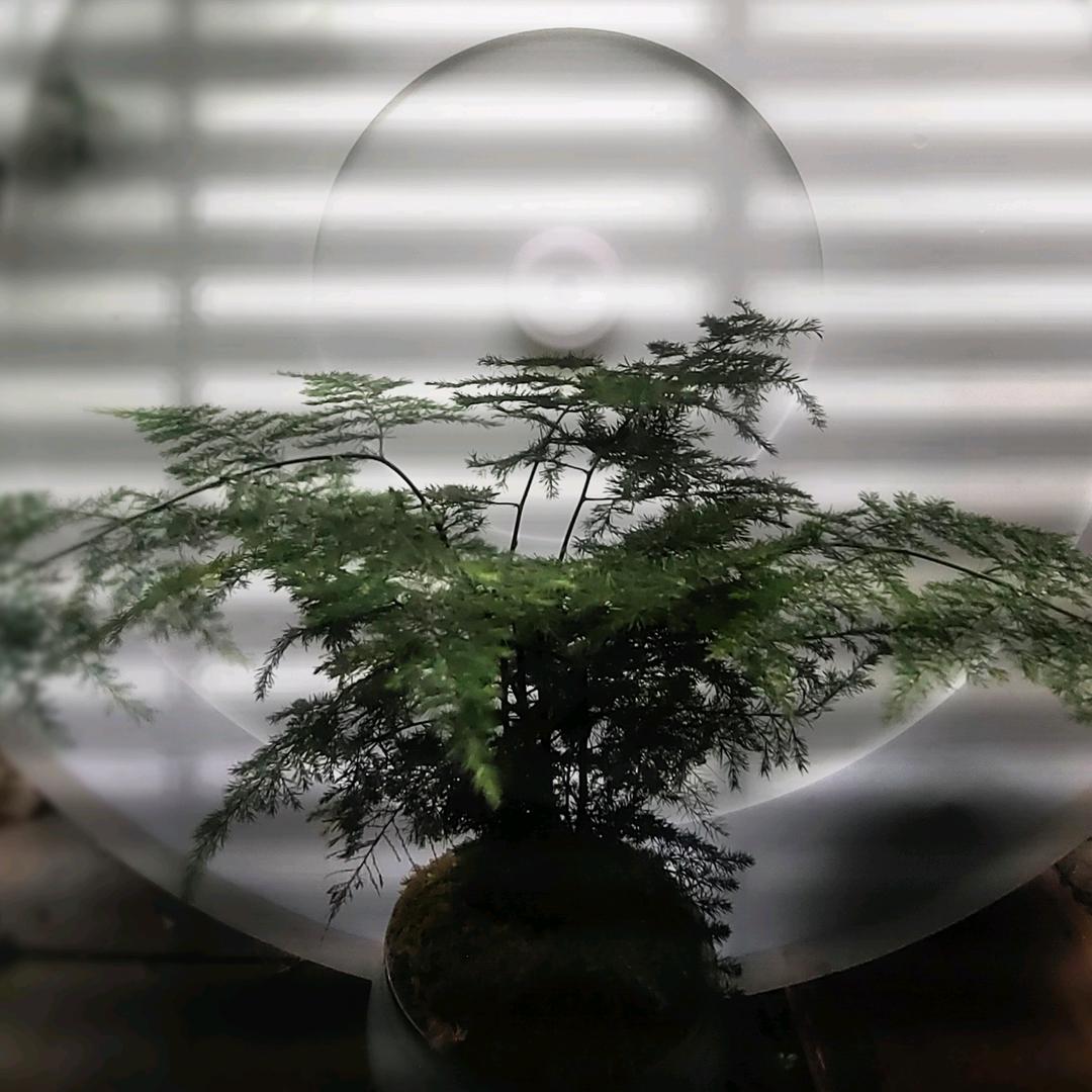 江南布衣🅡JNBY