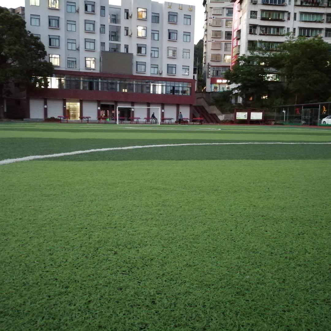 才情雅兴