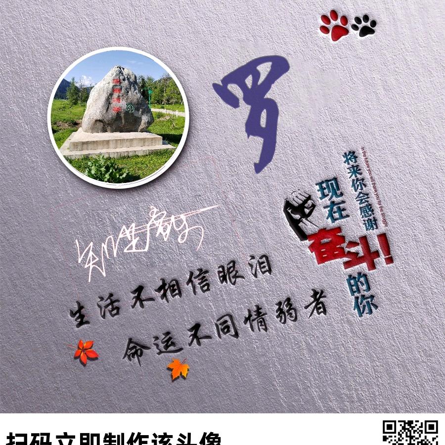 明天的太阳☀