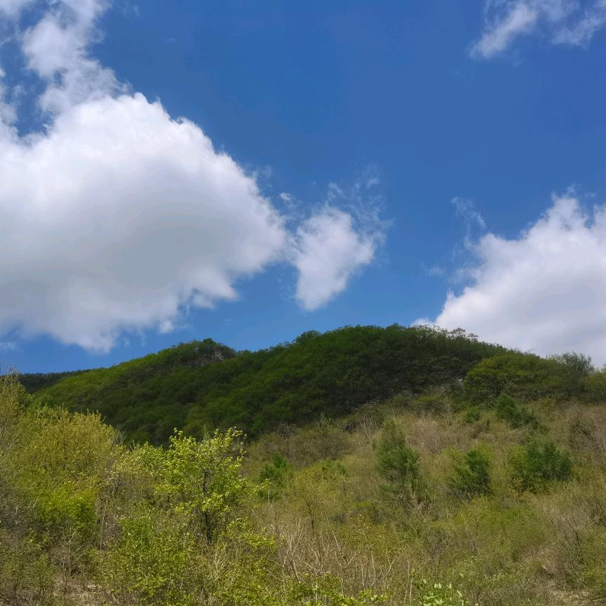 忆往昔峥嵘岁月