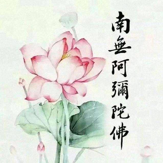 南无阿弥陀佛