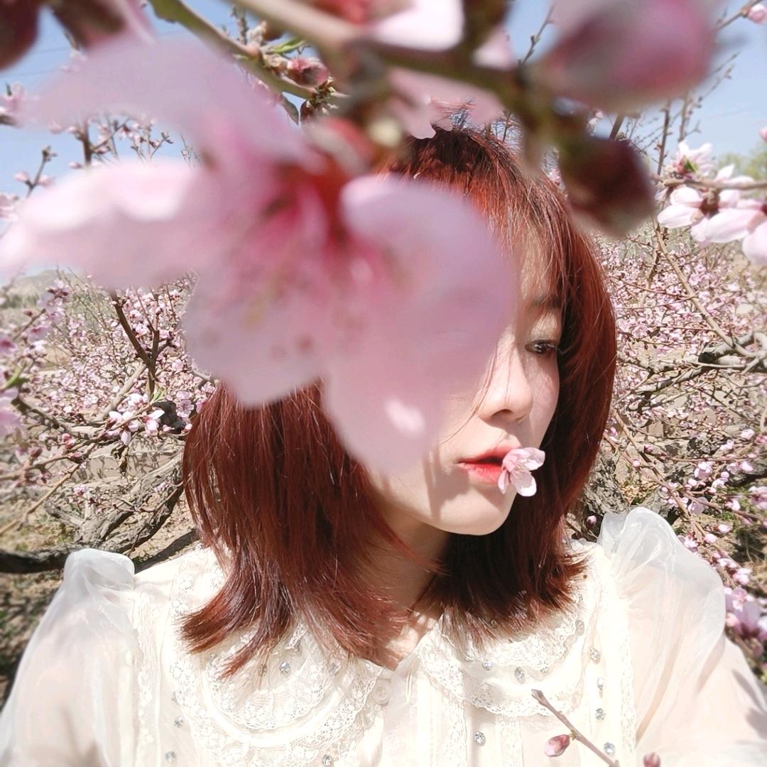 (๑• . •๑)