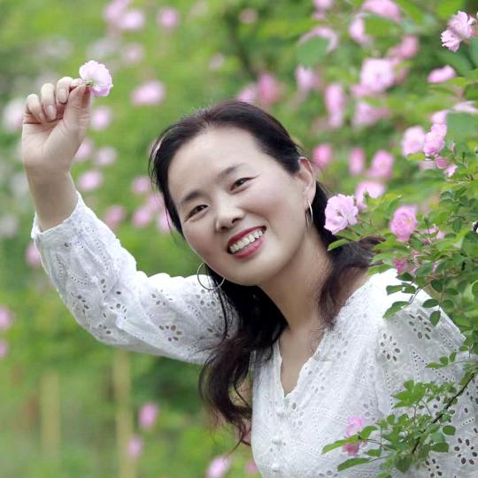 木棉f