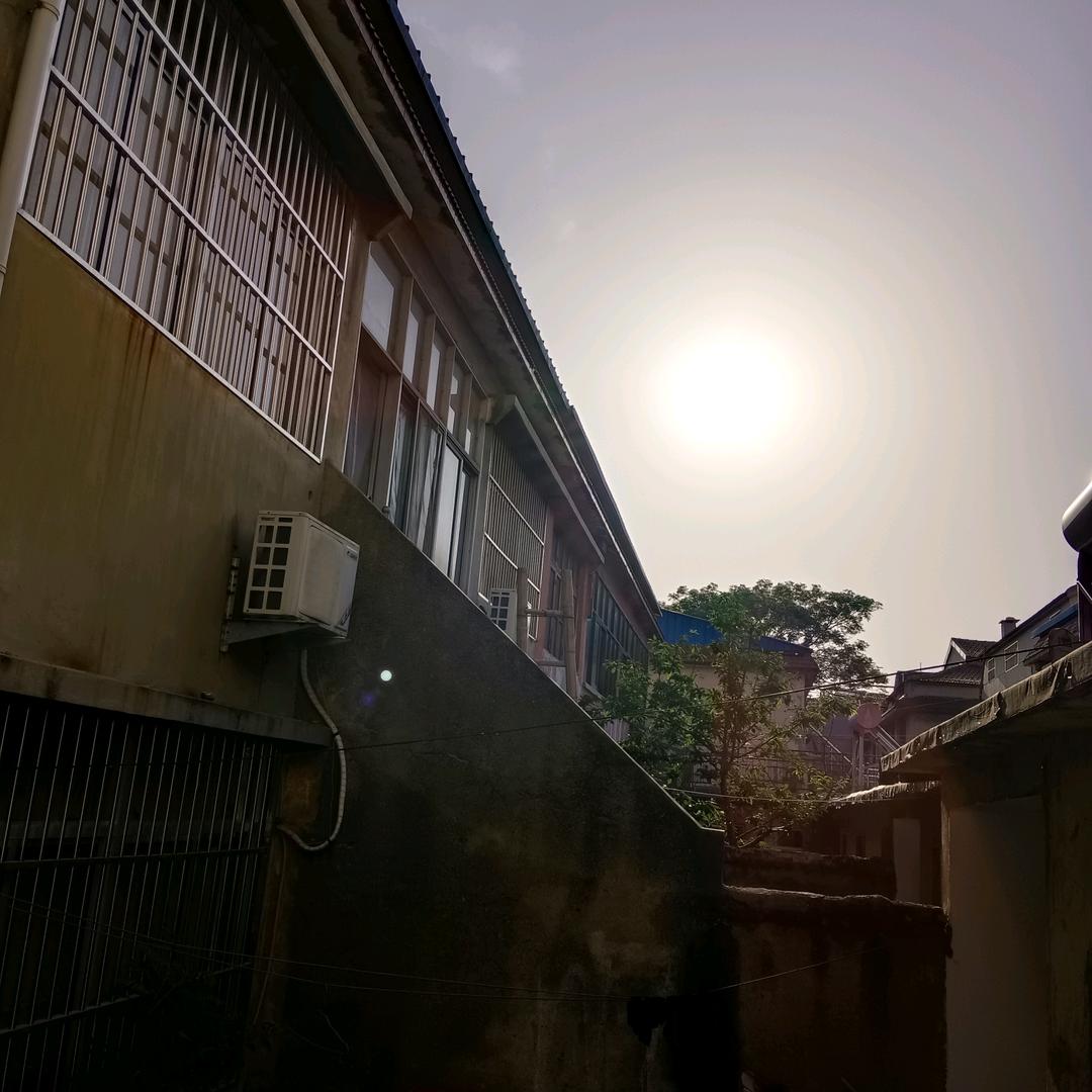 微山湖野鱼赵俩姐