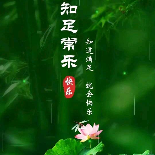 随风听情