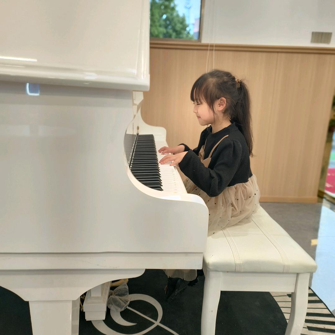 呆小布