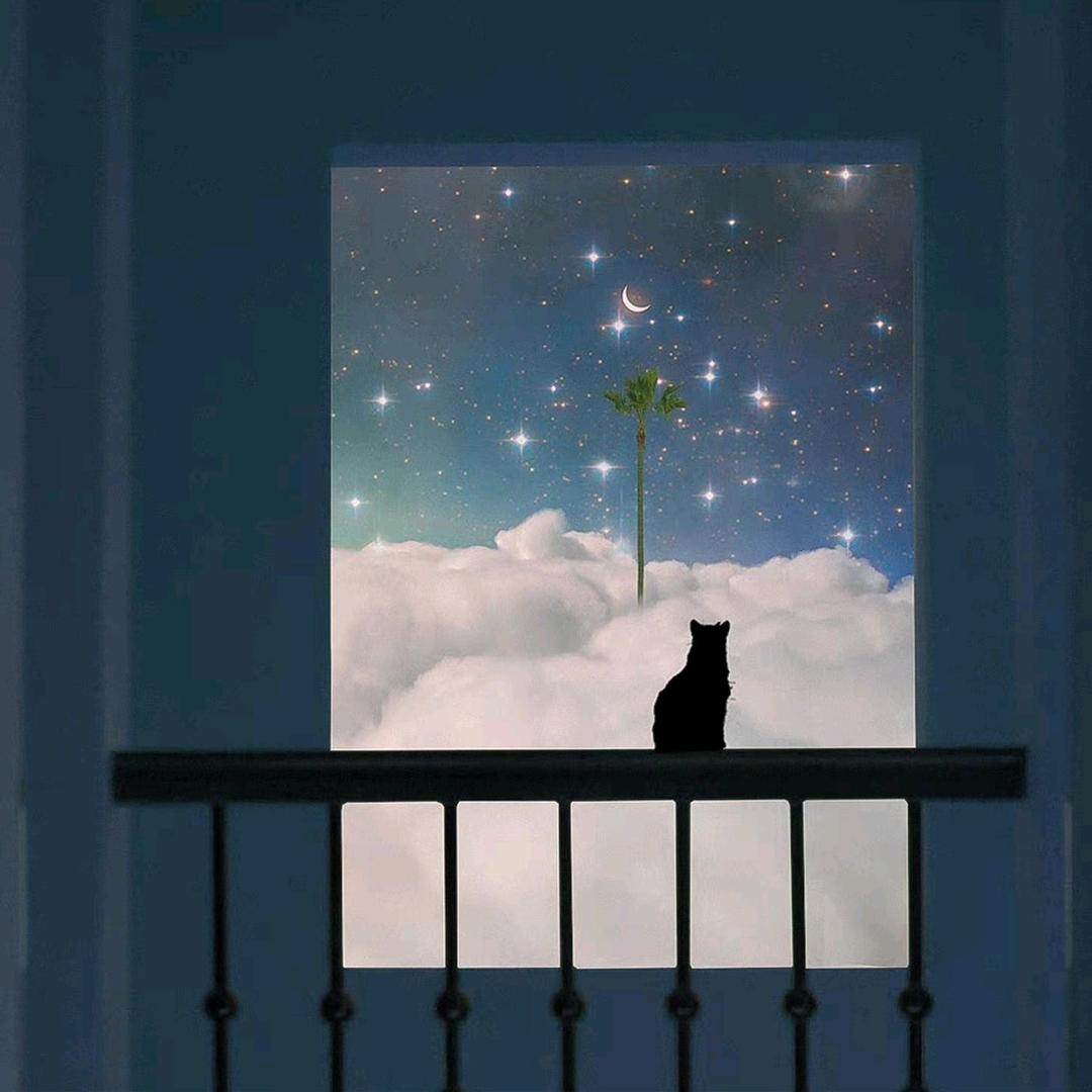 今晚是个平安夜