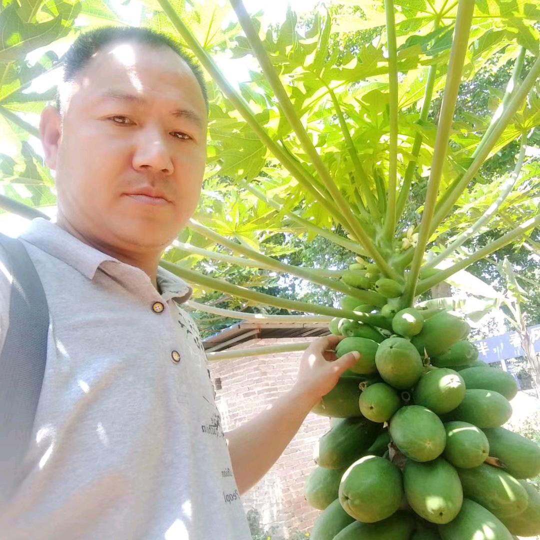 wl王林