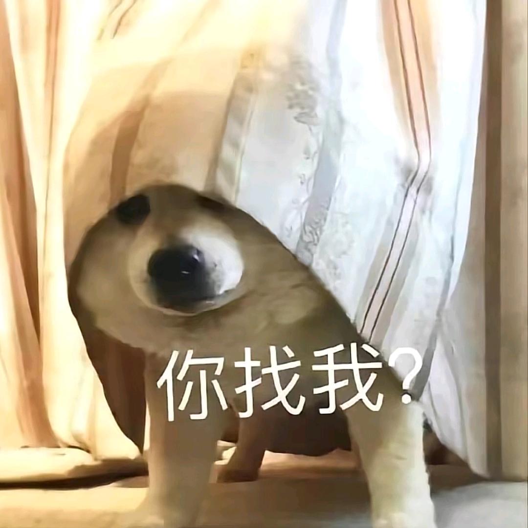 秋雾缈