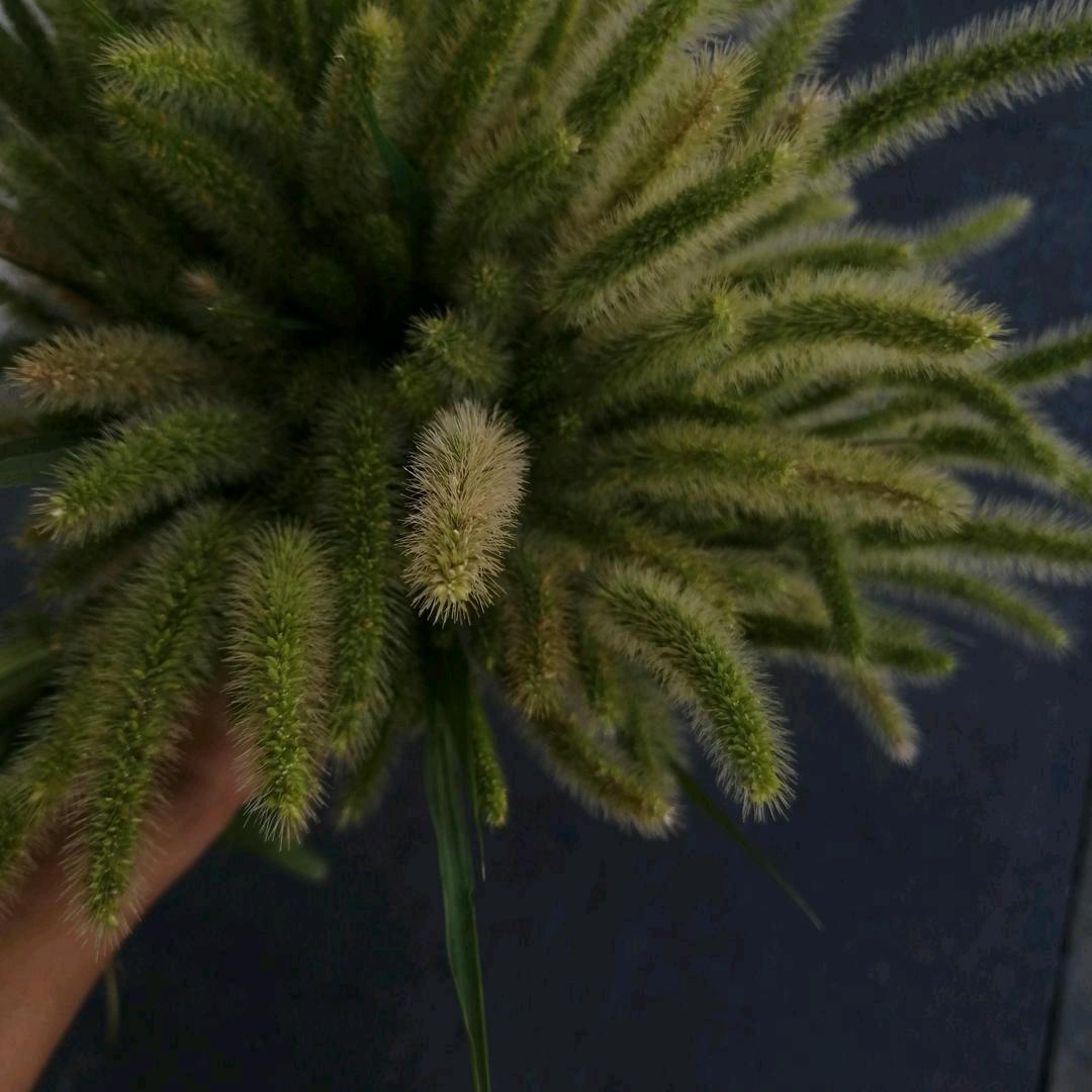 单枪匹马