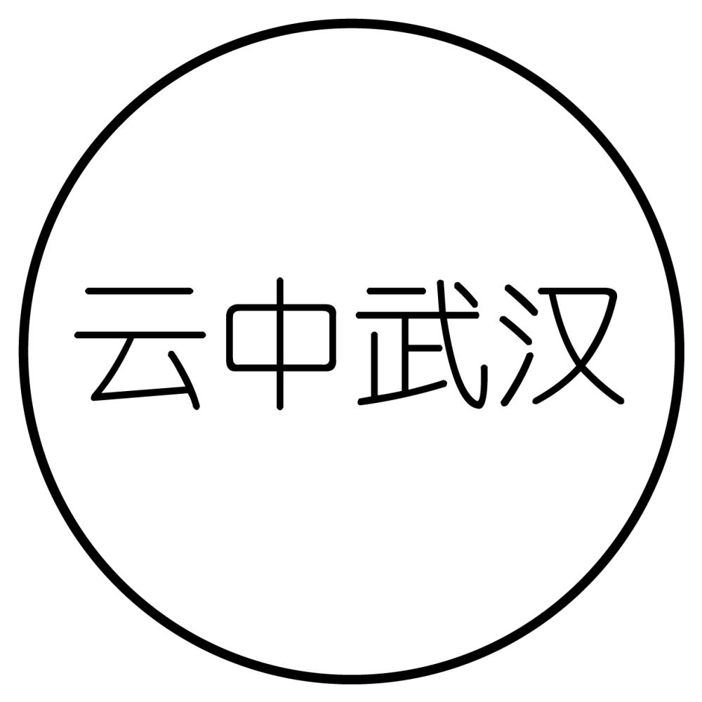 云中武汉航拍