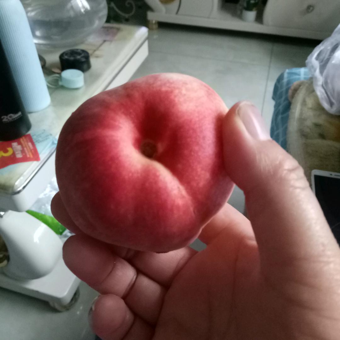 妮妮玛尼头像