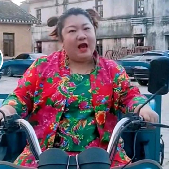 包租婆燕燕猪
