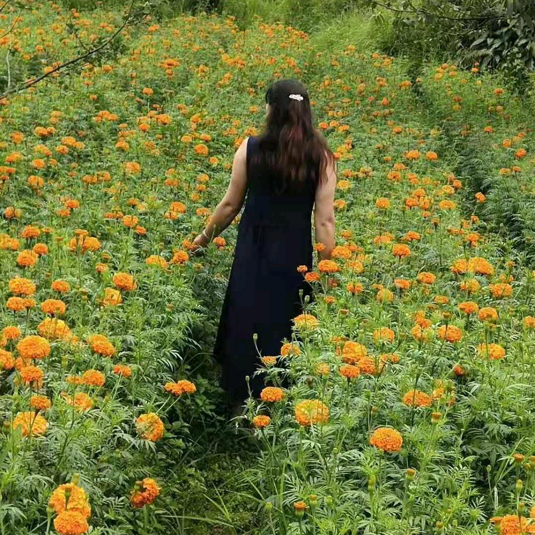 75年的🐇奶奶👵👵。