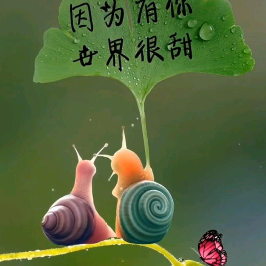 🥀এ᭄magnolia累了ꦿ谁💔疼ོ