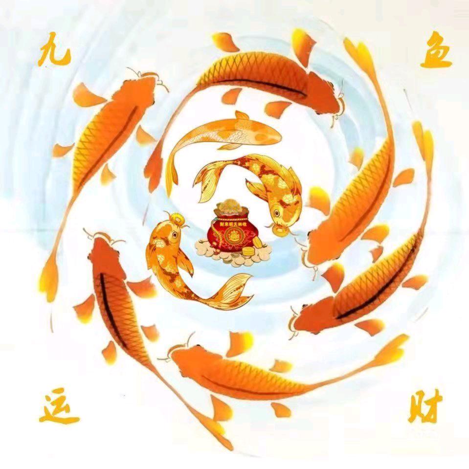 清雅淡然