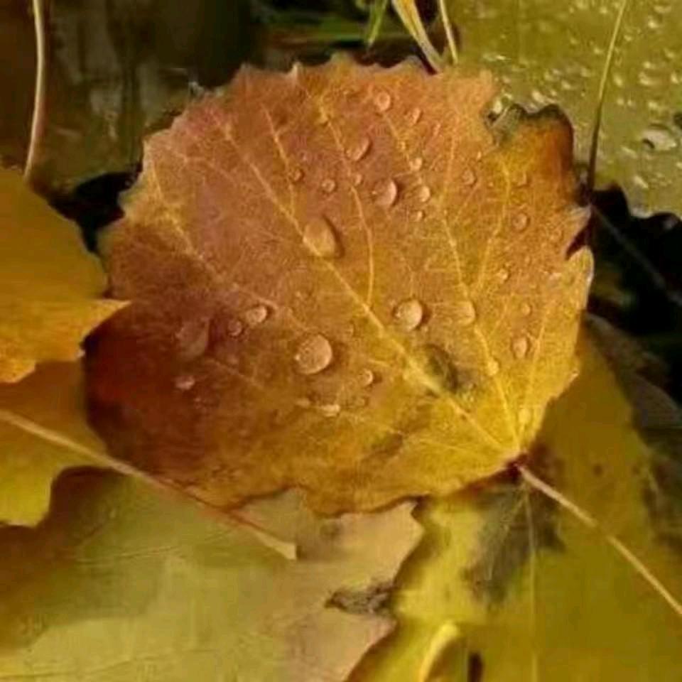 ℳঞᩚ水滴꧔ꦿ