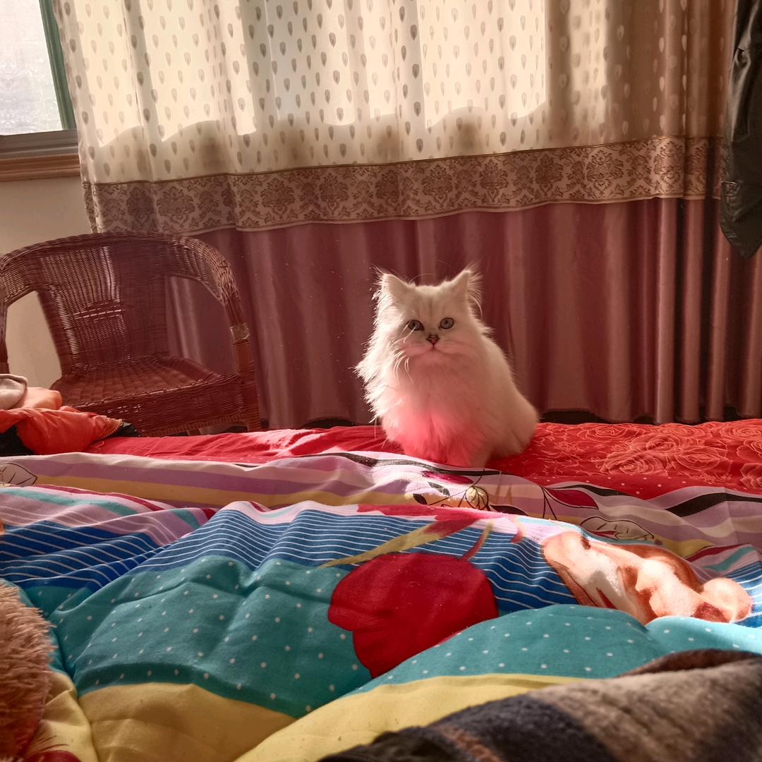 香水