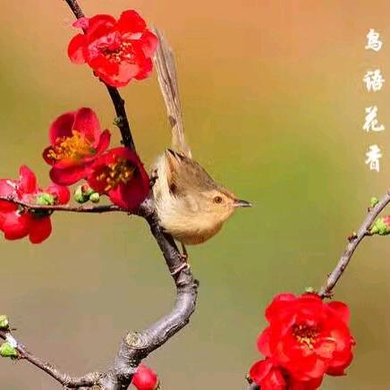 钟良