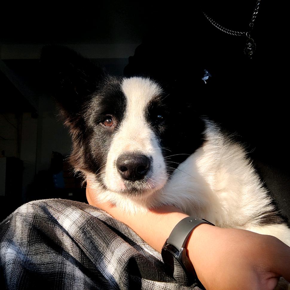 小卖部联合美食管理局