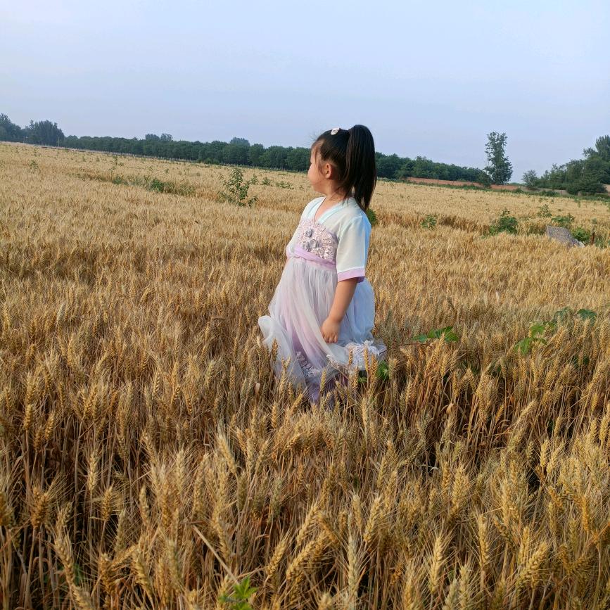 小辉酱肉火烧肉夹馍