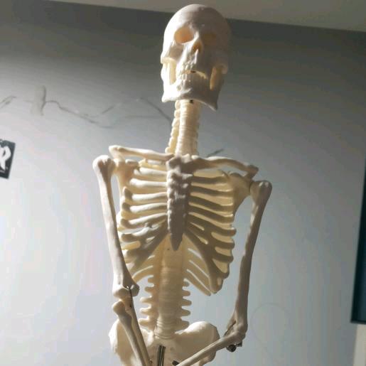 啦啦啦啦啦啦啦啦啦啦