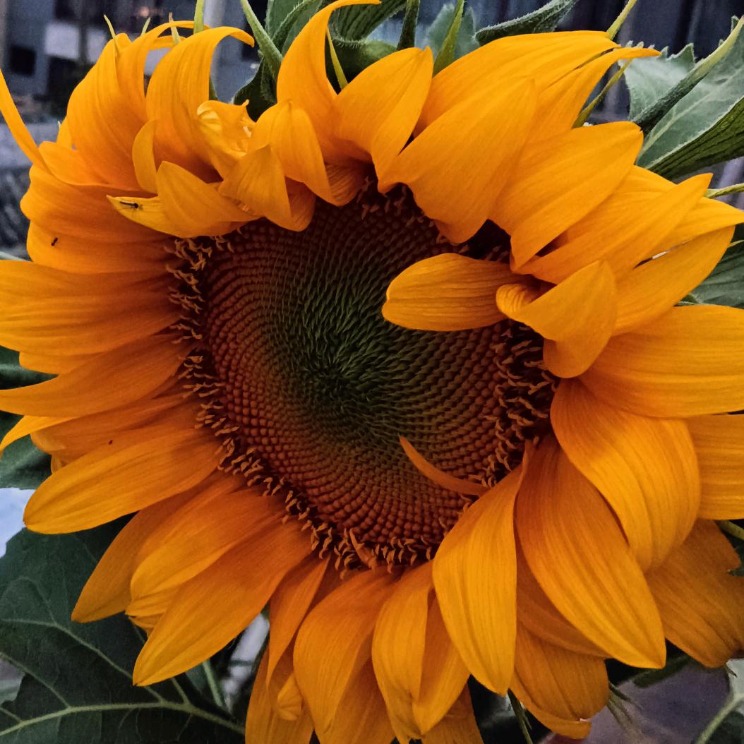 开心最重要😜😜😜