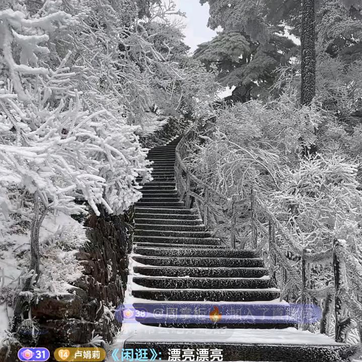 胡扬扬