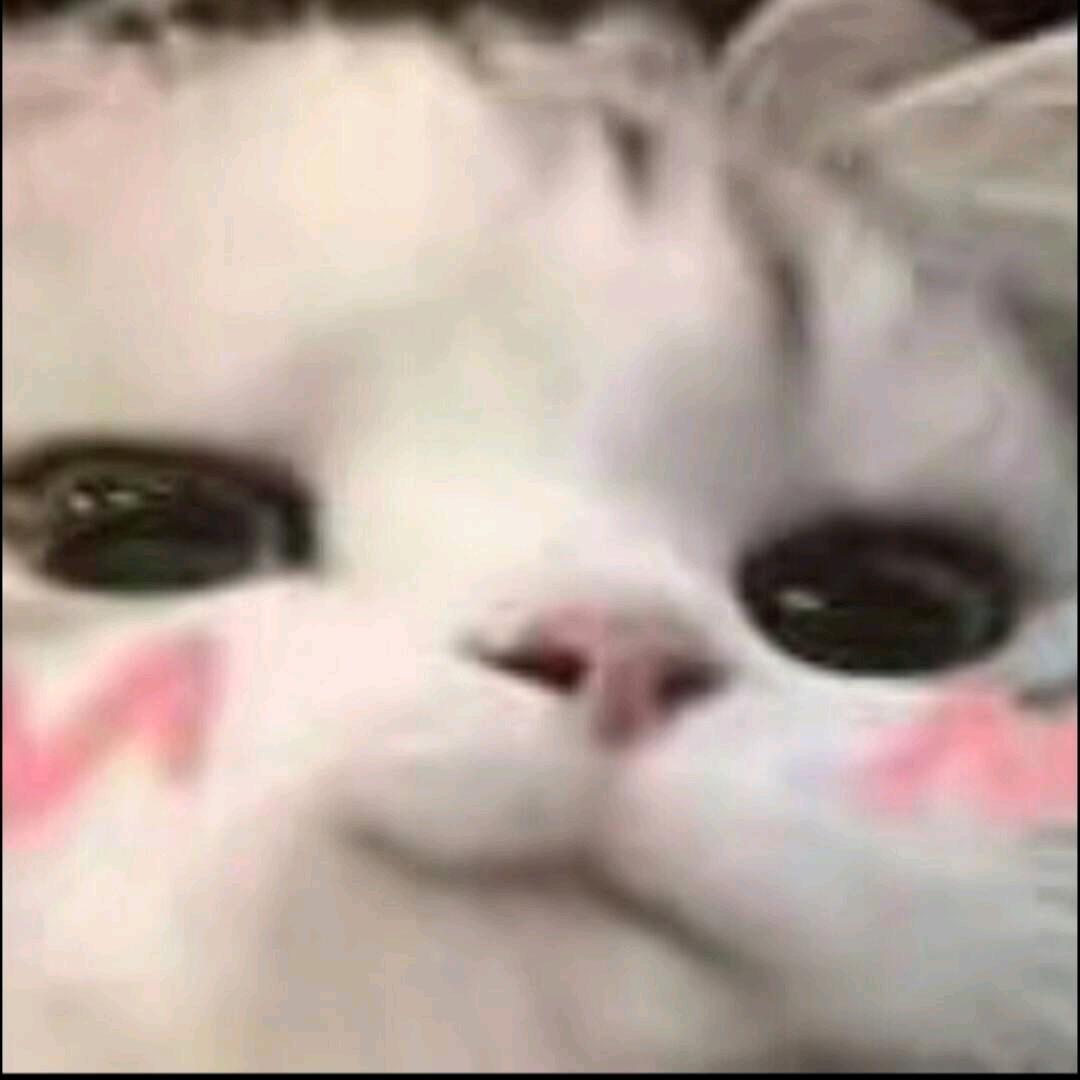 寒墨于