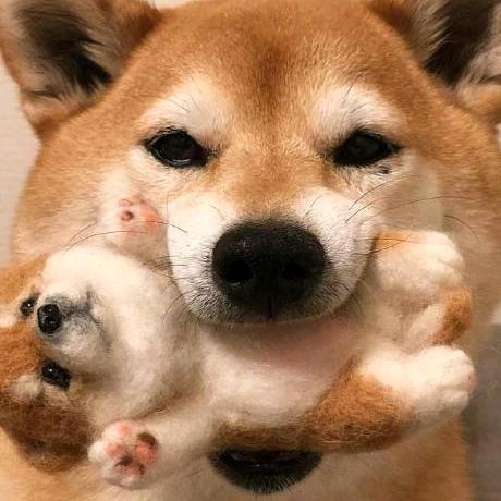 高光毅