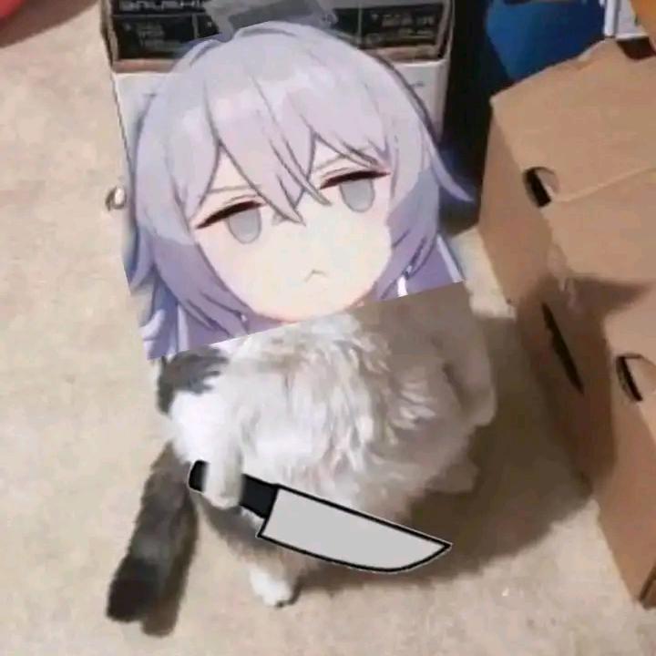 123777