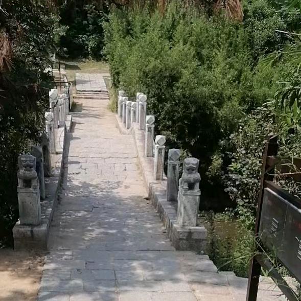 思念永远的痛˃̣̣̥᷄⌓˂̣̣̥᷅