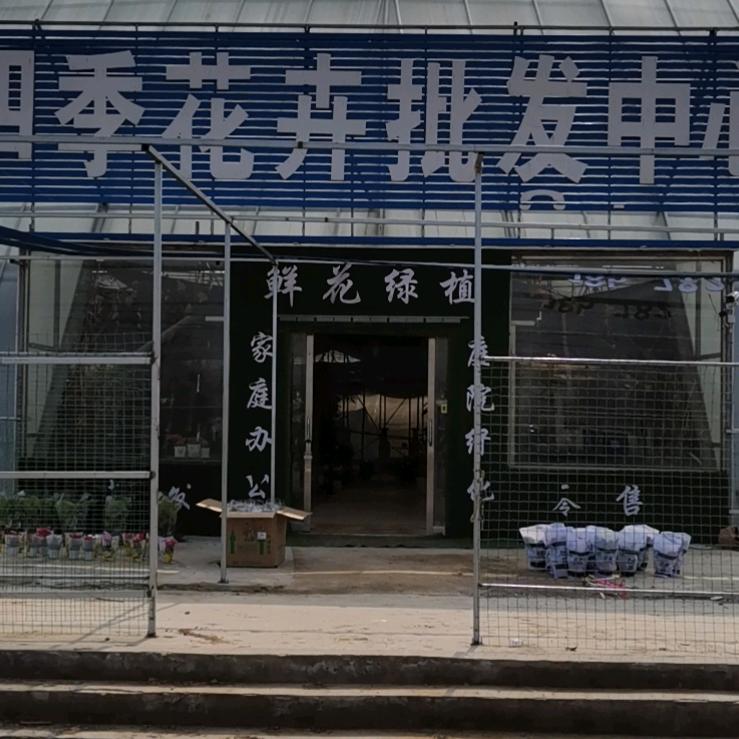 十里河花