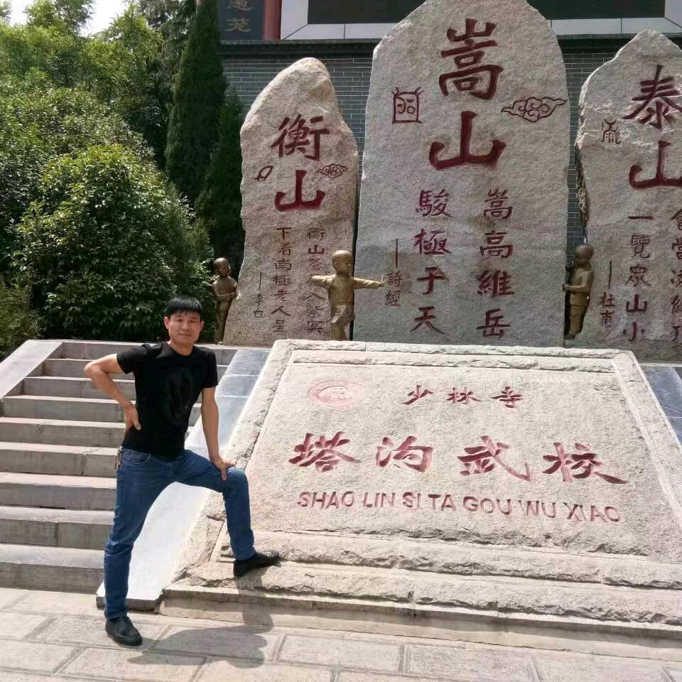 冰冰冰冰叶