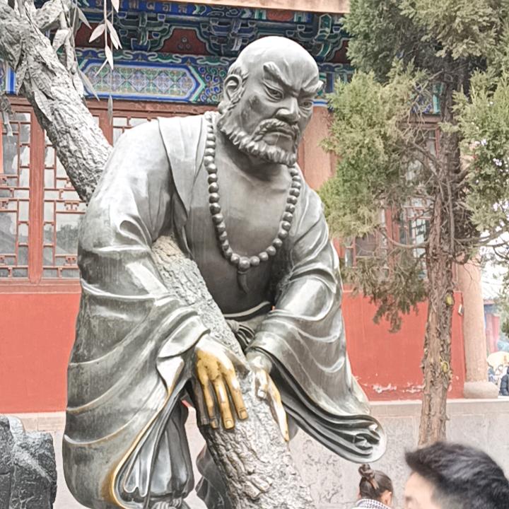 恰似惊鸿落人间丶